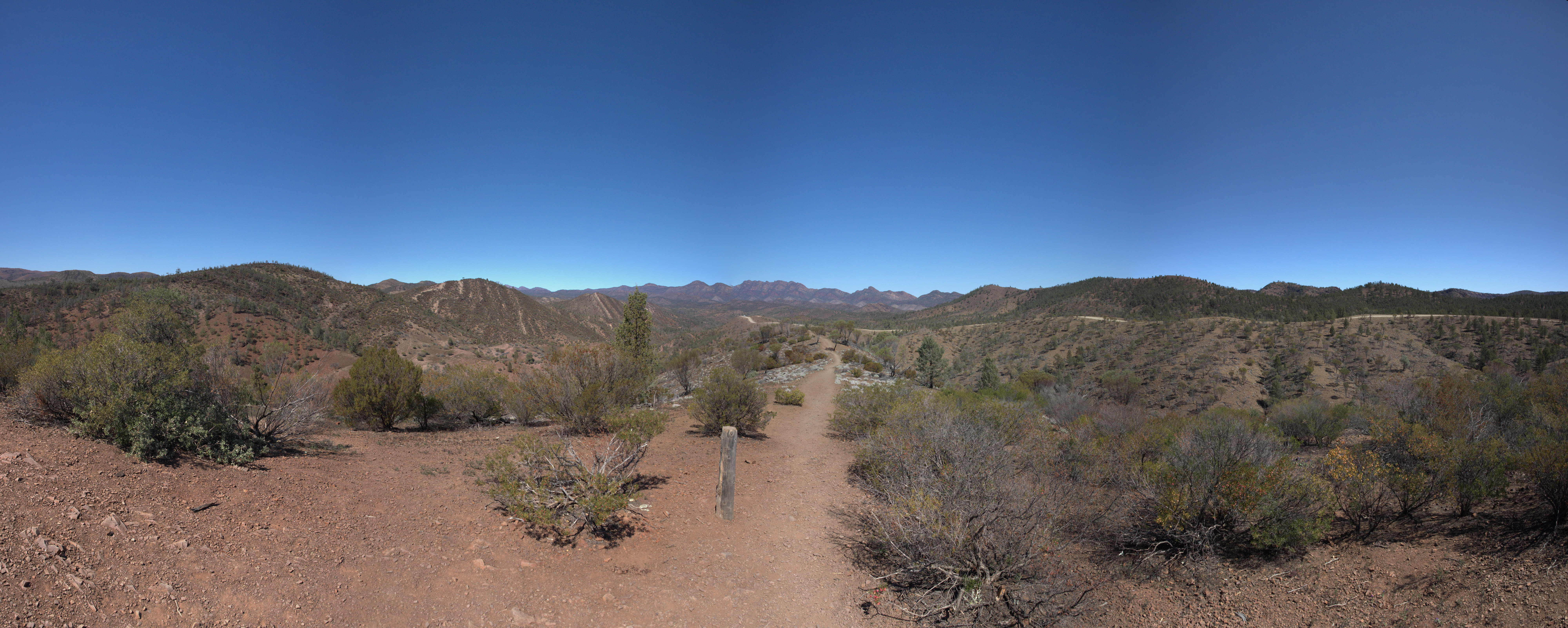 2019 09 01 11 27 12 Canon EOS 5D Mark IV 0008